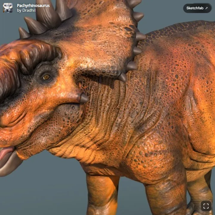 Pakirinozor (Pachyrhinosaurus)