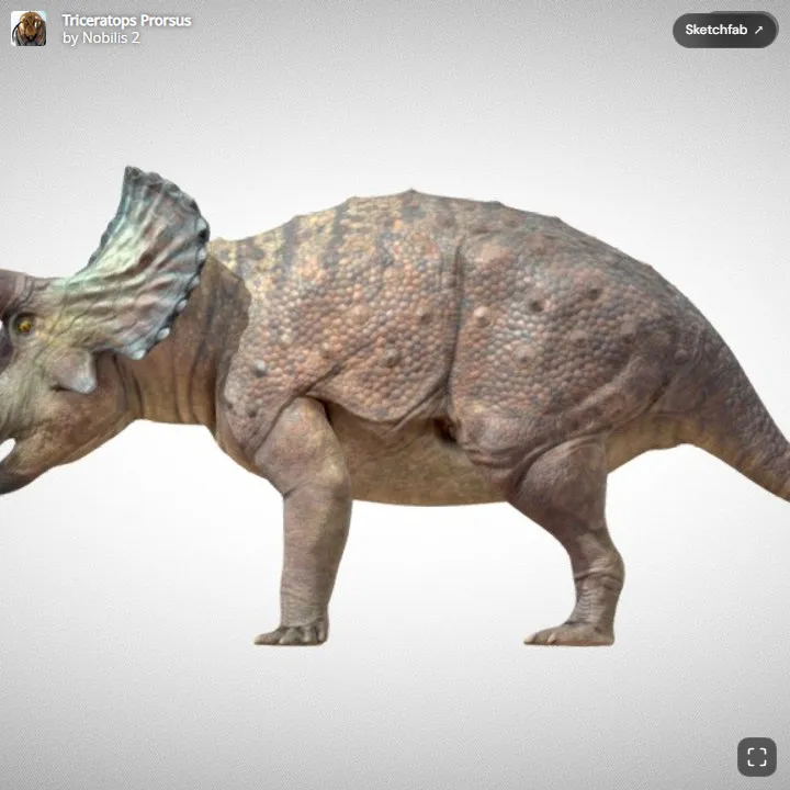 Triseratops (Triceratops prorsus)