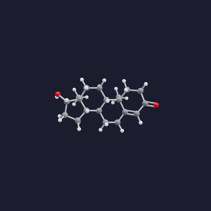 Testosteron